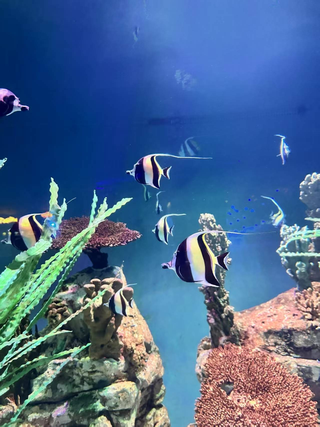 海洋馆照片